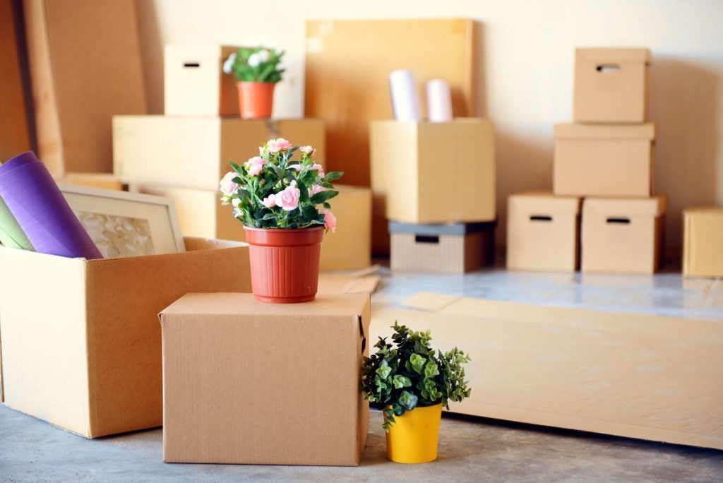 A selection of cardboard removals boxes and house plants ready to load on a lorry