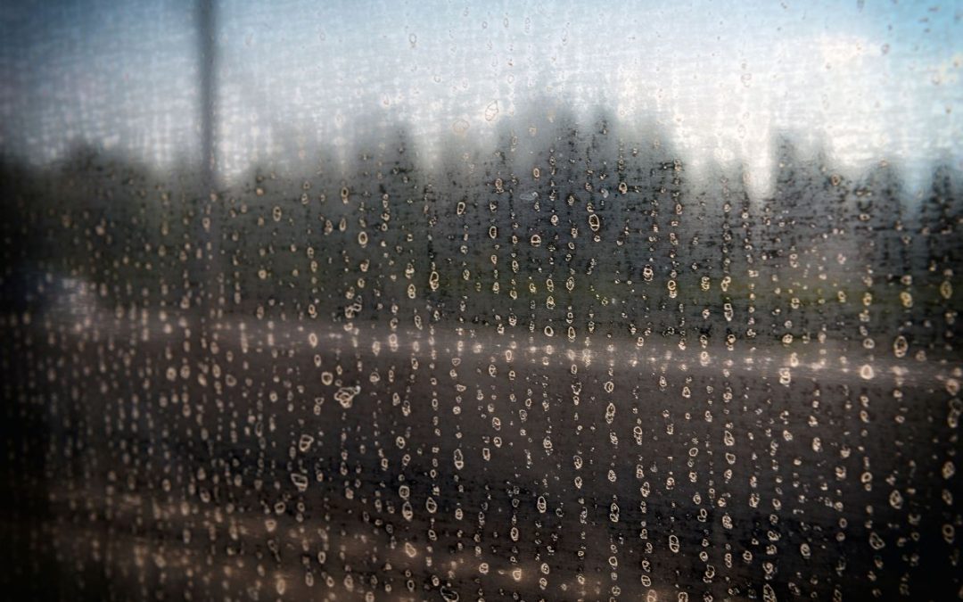 Water droplets running down a window