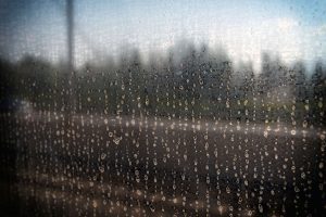 Water droplets running down a window