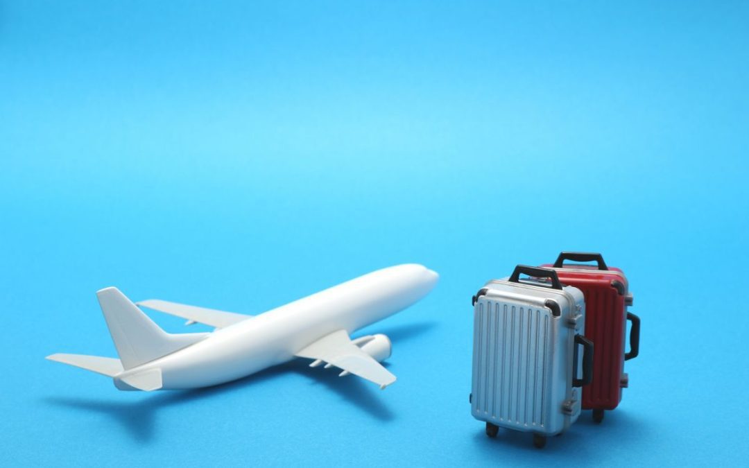 Models of a passenger jet aircraft and two wheeled suitcases