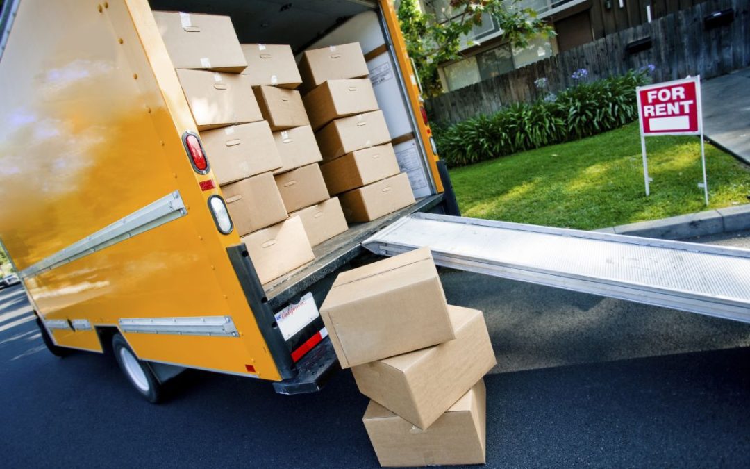 Removals in the Summer – Taking Care
